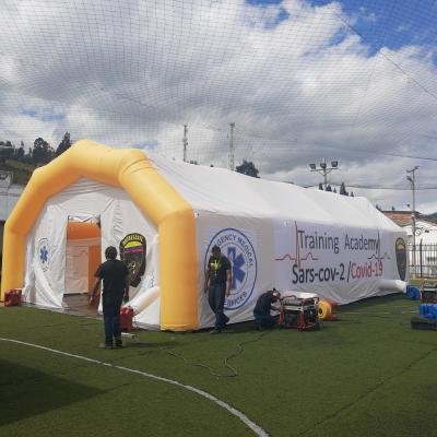 Carpas 008 