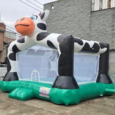 Castillos 001 